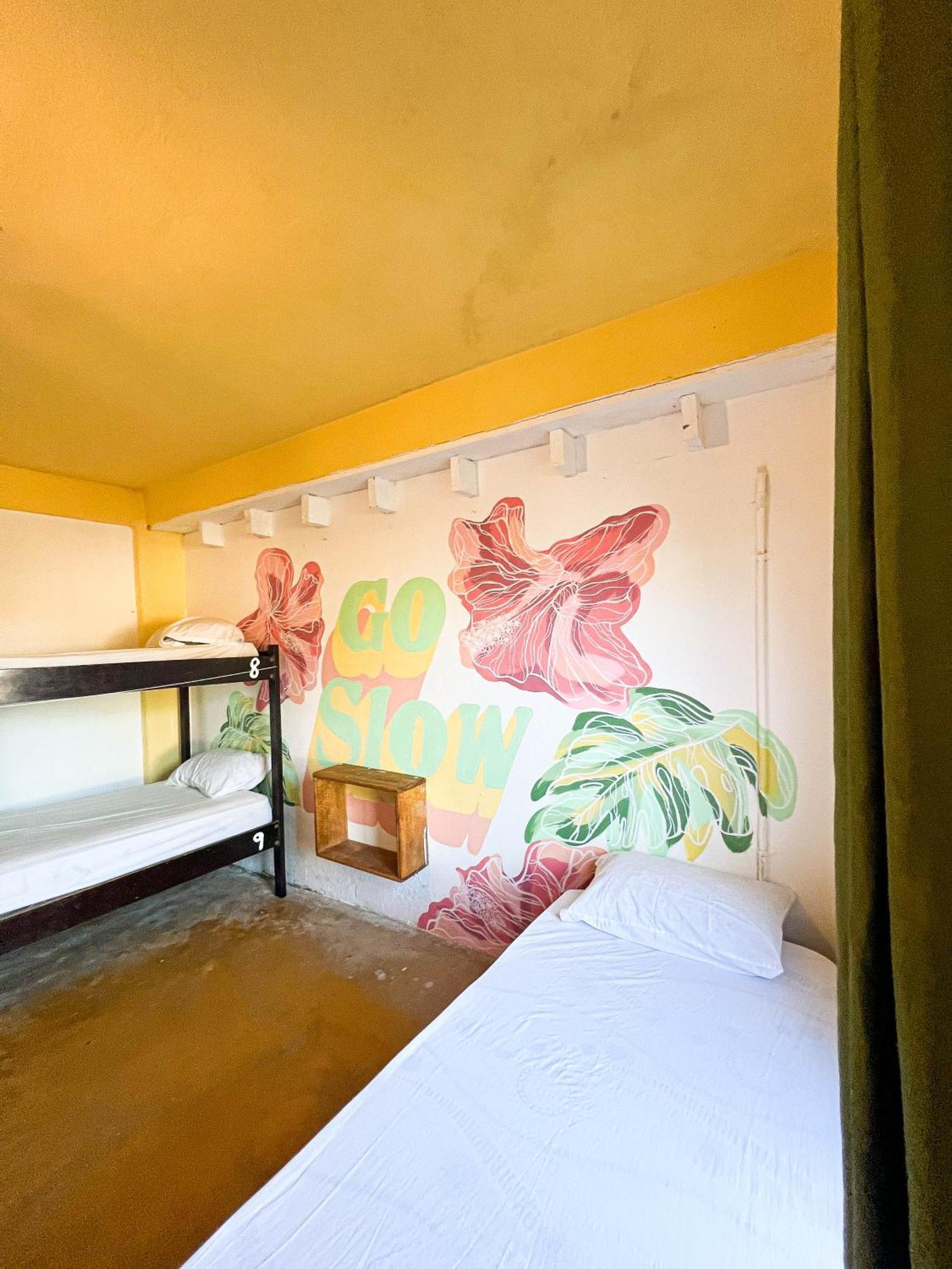 Bella's Backpackers Cayo Vandrarhem San Ignacio Exteriör bild