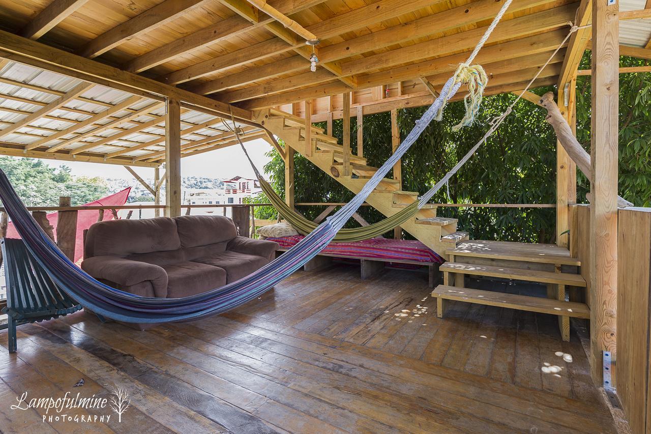 Bella's Backpackers Cayo Vandrarhem San Ignacio Exteriör bild