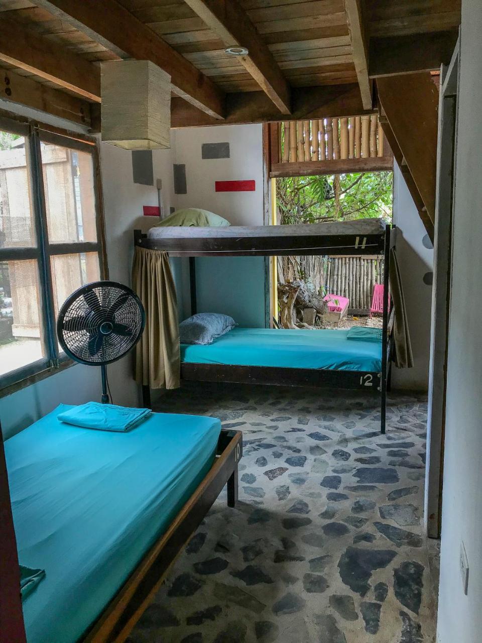 Bella's Backpackers Cayo Vandrarhem San Ignacio Exteriör bild